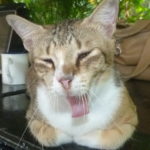 sleeping-during-CMB-airport-daytime-closure